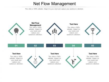 Net flow management ppt powerpoint presentation outline show cpb