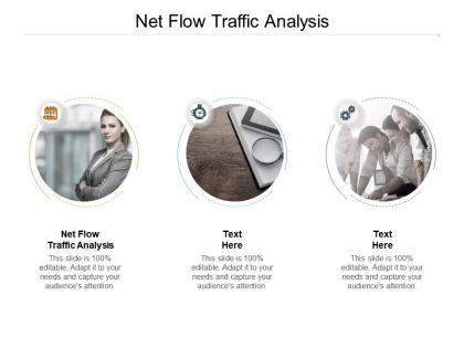 Net flow traffic analysis ppt powerpoint presentation pictures outfit cpb