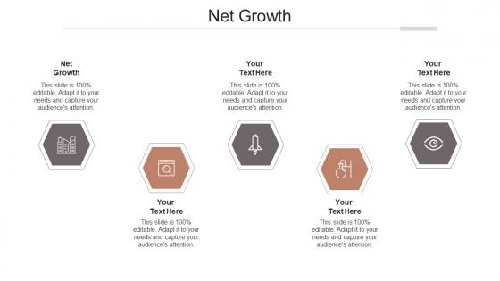 Net growth ppt powerpoint presentation infographic template styles cpb