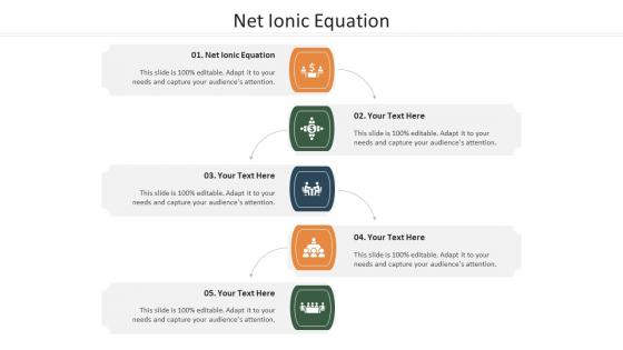 Net Ionic Equation Ppt Powerpoint Presentation Portfolio Deck Cpb