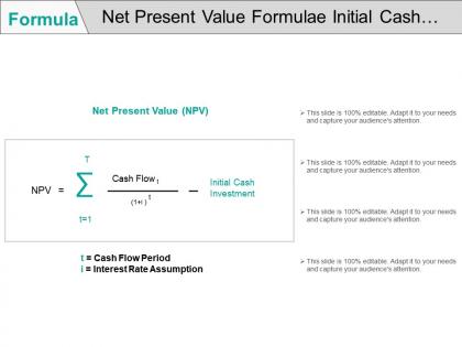 Net present value formulae initial cash investment