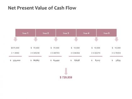 Net present value of cash flow management ppt powerpoint presentation summary format