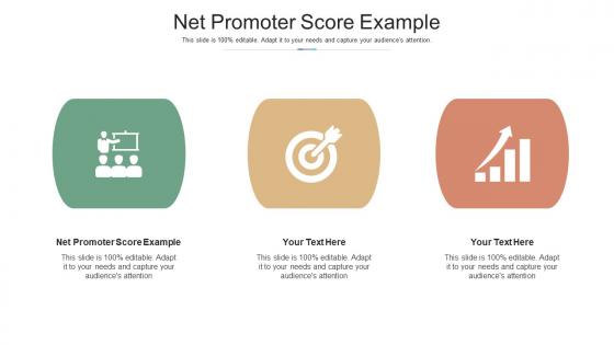 Net Promoter Score Example Ppt Powerpoint Presentation Portfolio Slide Cpb