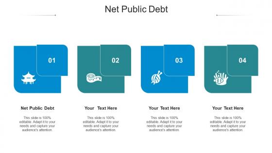 Net public debt ppt powerpoint presentation professional inspiration cpb