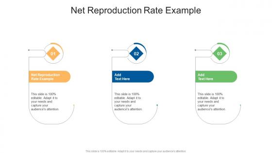 Net Reproduction Rate Example In Powerpoint And Google Slides Cpb