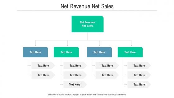 Net revenue net sales ppt powerpoint presentation gallery icons cpb