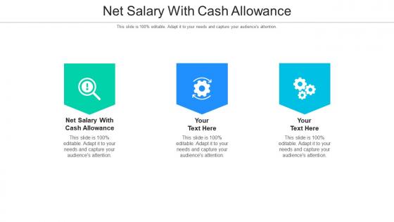 Net salary with cash allowance ppt powerpoint presentation professional slide cpb