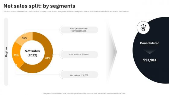 Net Sales Split By Segments Amazon Company Profile Ppt Gallery Structure CP SS