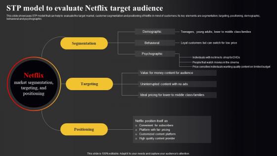 Netflix Marketing Strategy STP Model To Evaluate Netflix Target Audience Strategy SS V