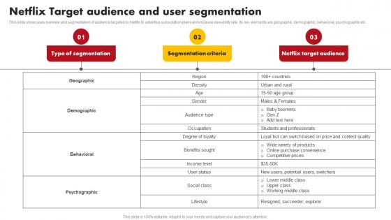 Netflix Target Audience And User Comprehensive Marketing Mix Strategy Of Netflix Strategy SS V