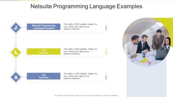 Netsuite Programming Language Examples In Powerpoint And Google Slides Cpb