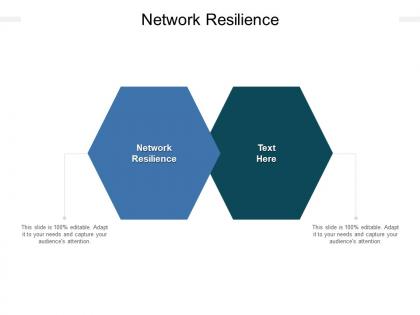 Network resilience ppt powerpoint presentation model files cpb