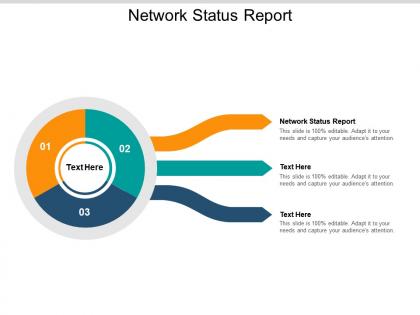Network status report ppt powerpoint presentation infographics microsoft cpb