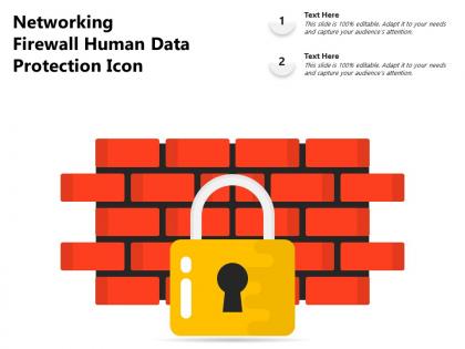 Networking firewall human data protection icon