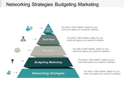 Networking strategies budgeting marketing performance management marketing mutual funds cpb