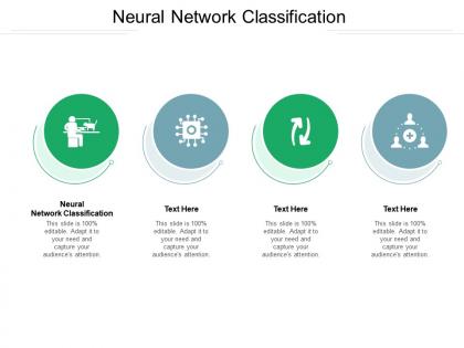 Neural network classification ppt powerpoint presentation slides gallery cpb