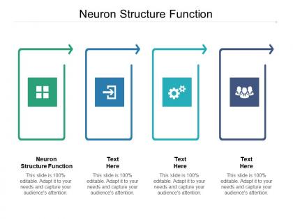 Neuron structure function ppt powerpoint presentation infographic template clipart cpb