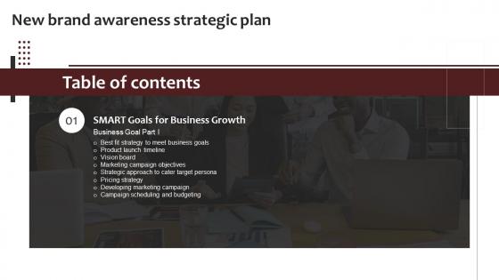 New Brand Awareness Strategic Plan Table Of Content Branding SS