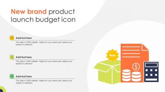 New Brand Product Launch Budget Icon