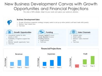 New business development canvas with growth opportunities and financial projections
