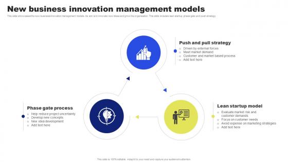 New Business Innovation Management Models