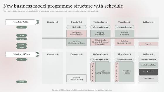New Business Model Programme Structure With Schedule