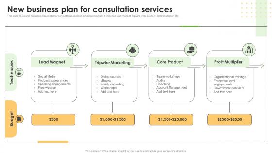 New Business Plan For Consultation Services