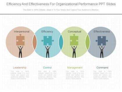 New efficiency and effectiveness for organizational performance ppt slides