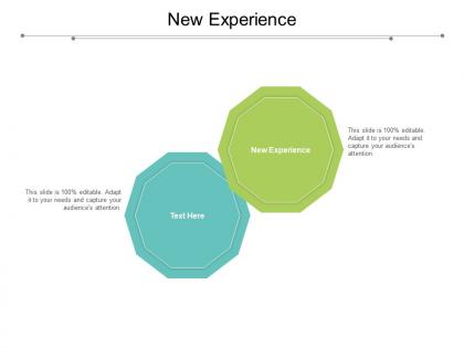 New experience ppt powerpoint presentation model visual aids cpb