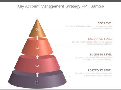 New key account management strategy ppt sample