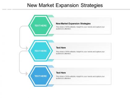 New market expansion strategies ppt powerpoint presentation styles display cpb