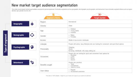 New Market Target Audience Segmentation Global Business Strategies Strategy SS V