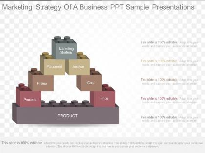 New marketing strategy of a business ppt sample presentations
