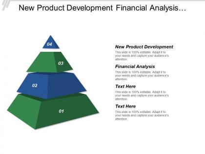 New product development financial analysis business modeling marketing launch