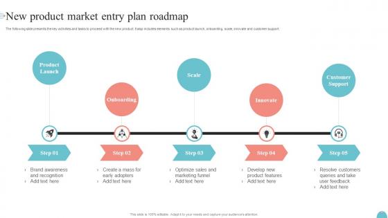 New Product Market Entry Plan Roadmap