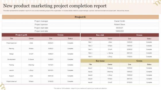 New Product Marketing Project Completion Report