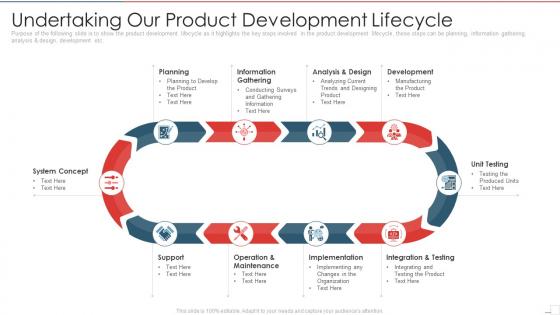 New product performance evaluation undertaking our product development lifecycle
