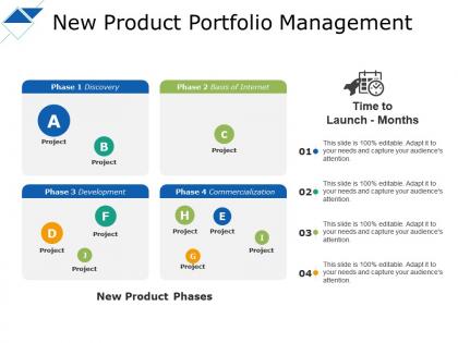 New product portfolio management new product phases project