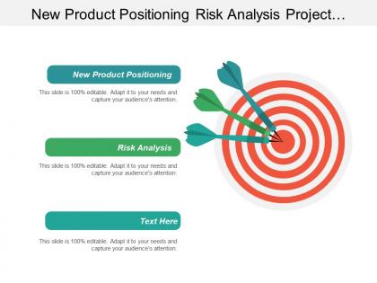 New product positioning risk analysis project development management cpb