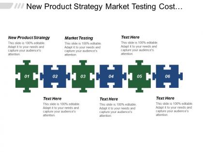 New product strategy market testing cost element accounting