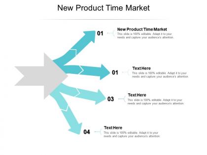 New product time market ppt powerpoint presentation slides cpb