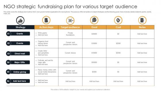 NGO Strategic Fundraising Plan For Various Target Audience