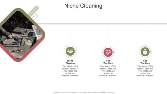 Niche Cleaning In Powerpoint And Google Slides Cpb
