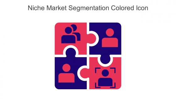 Niche Market Segmentation Colored Icon In Powerpoint Pptx Png And Editable Eps Format