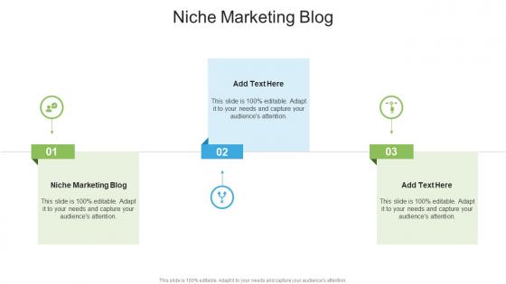 Niche Marketing Blog In Powerpoint And Google Slides Cpb