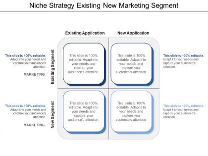 Niche strategy existing new marketing segment