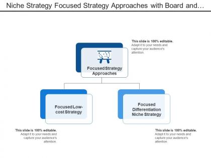 Niche strategy focused strategy approaches with board and arrow image