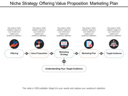 Niche strategy offering value proposition marketing plan