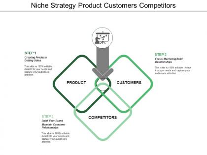Niche strategy product customers competitors