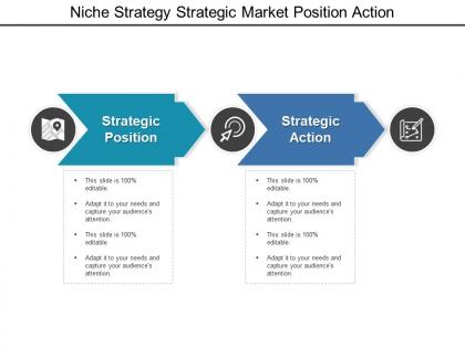 Niche strategy strategic market position action